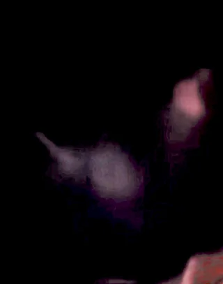 Enhanced still frame purported to show a shark