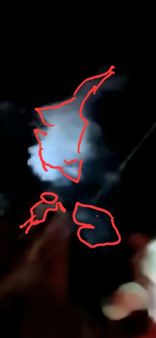 Enhanced still frame purported to show a shark